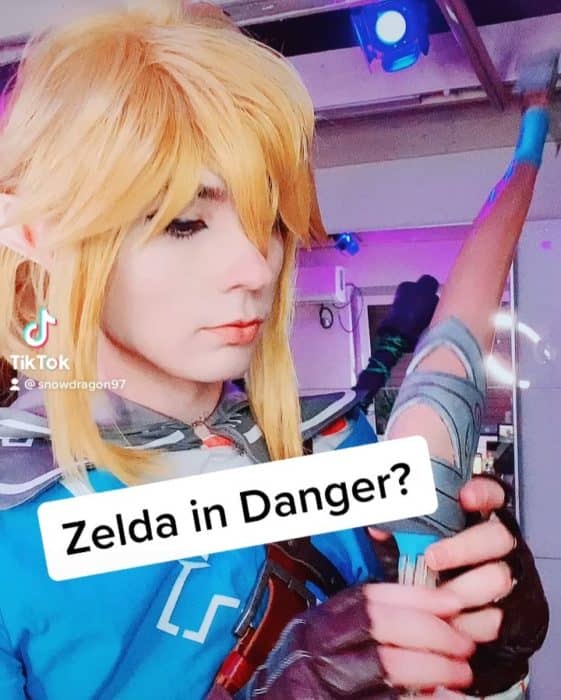 Link doesn't want to help Zelda oh nooo