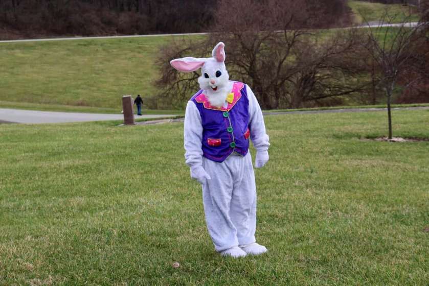 easter bunny costume 1